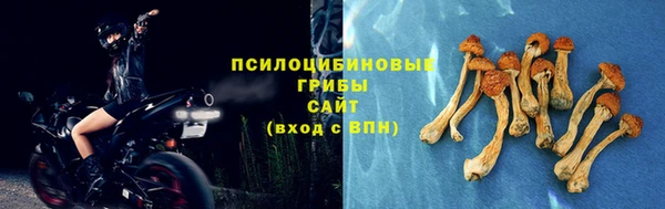 дживик Абинск