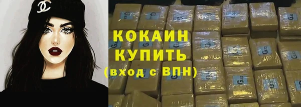 шишки Аркадак