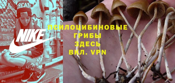 MESCALINE Кукмор