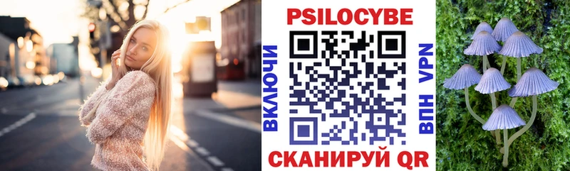 Псилоцибиновые грибы мухоморы  дарк нет состав  МЕГА   Бавлы  купить наркоту 